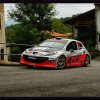 CW Alpi Orientali Rally 2010 010